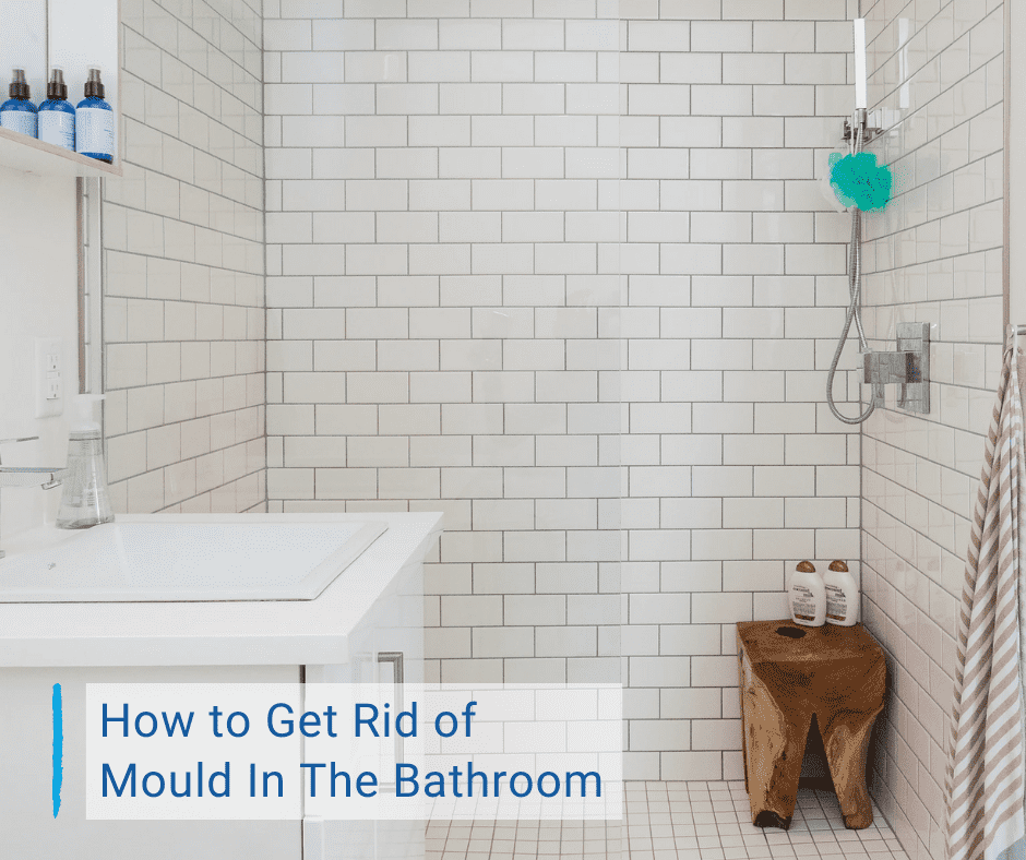 part 4 about how to get rid of bathroom mould
