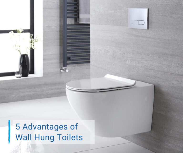 wall hung toilets advantages