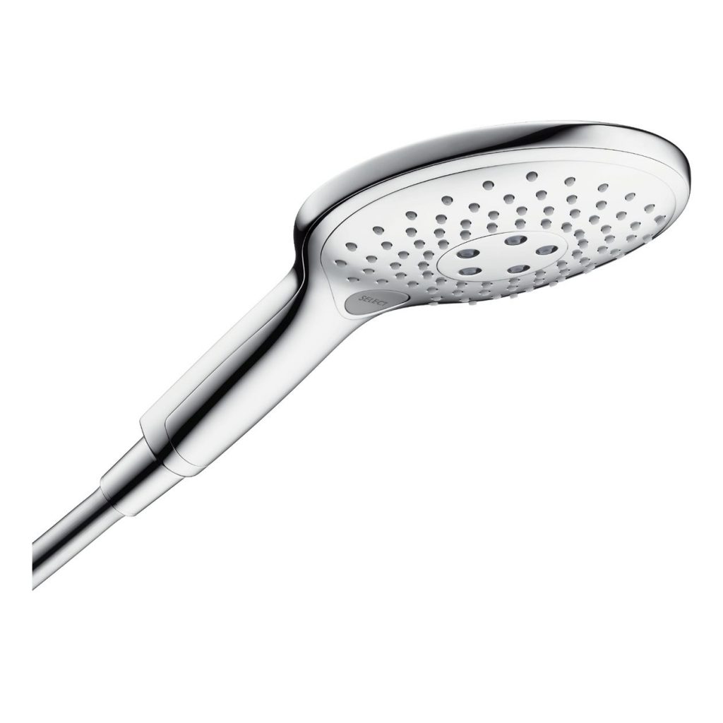 Hansgrohe Hand Shower Raindance