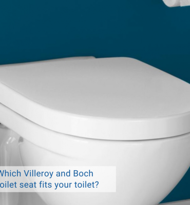 Villeroy and Boch toilet seat blog cover