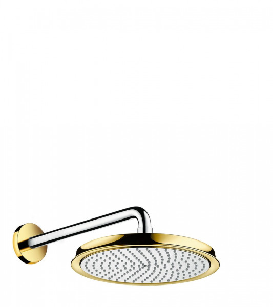 Hansgrohe Hand Shower 240 390mm 1 jet Chrome/Gold