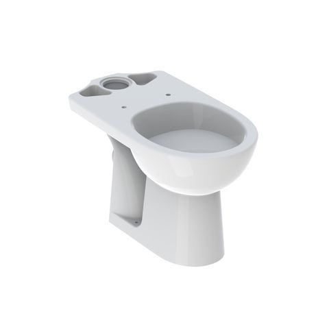Geberit Back To Wall Toilet Renova With Rim Hollow Bottom 357x390x665mm White 203820000