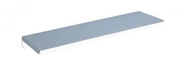 Delabie Stainless steel wall shelf Stainless Steel 120 x 450 mm 551