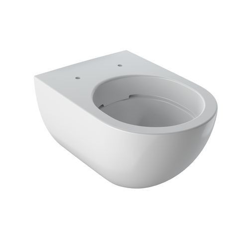 Geberit Wall Hung Toilet Acanto Pan  Rimless Hollow bottom 350x340x510mm White