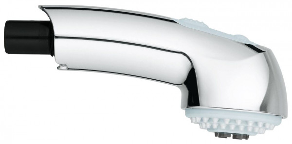 Grohe Pull-out Spout 46667KS0