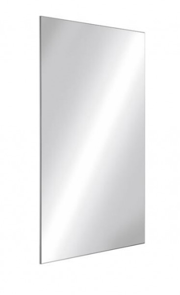 Delabie Stainless steel rectangular mirror Mirror Glass 3458
