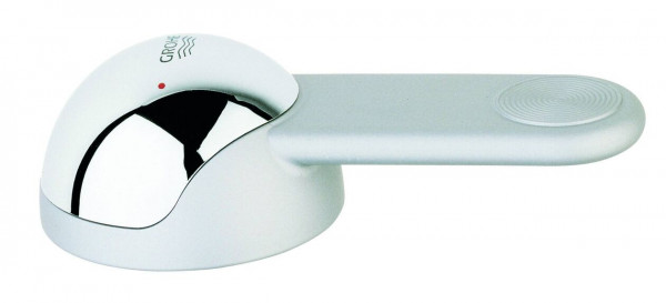 Grohe Lever Tap 46233IB0