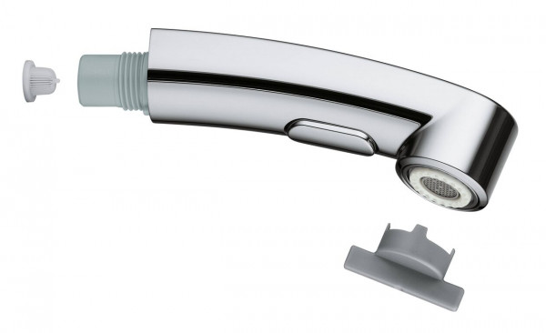 Grohe Pull-out Spout 46956000