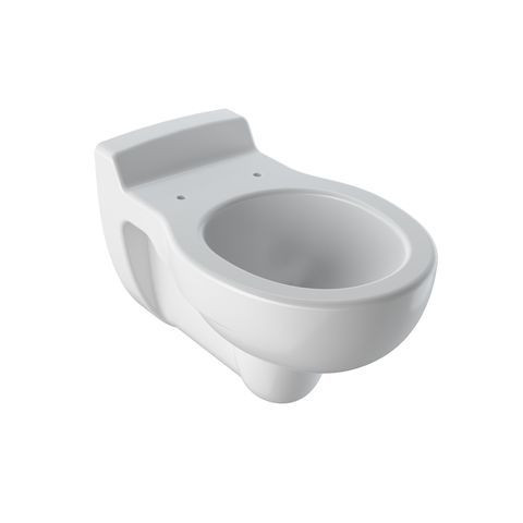 Geberit Child Toilet Bambini With Rim Hollow Bottom 337x335x535mm White