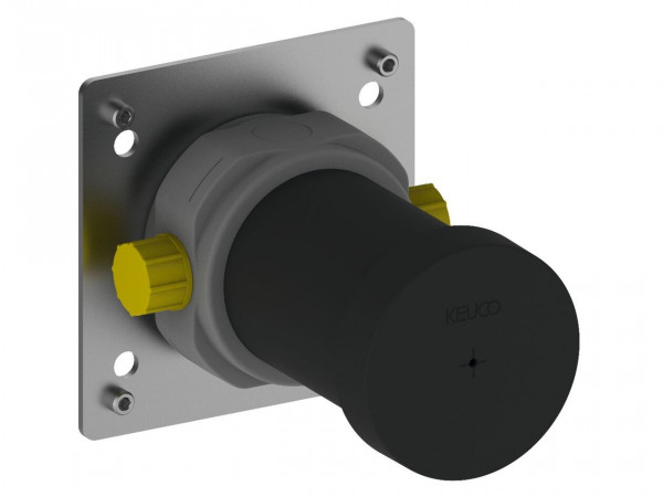 Concealed Body Keuco IXMO for shut-off valves