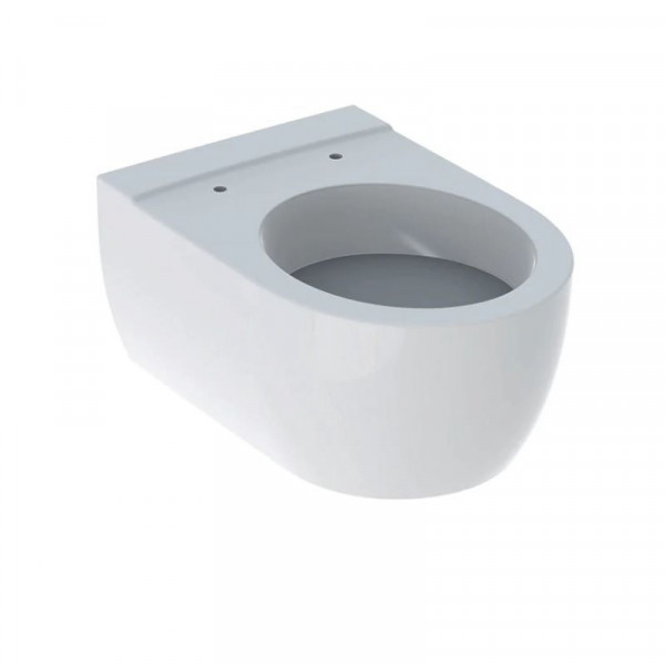 Geberit Wall Hung Toilet Hollow Bottom WC Pack With flange With KeraTect
